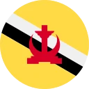 brunejský dolar (BND)